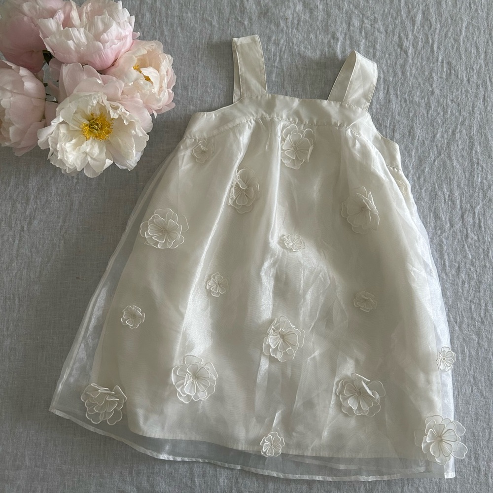 J crew/Crewcuts White Girls' floral appliqué dress in organza